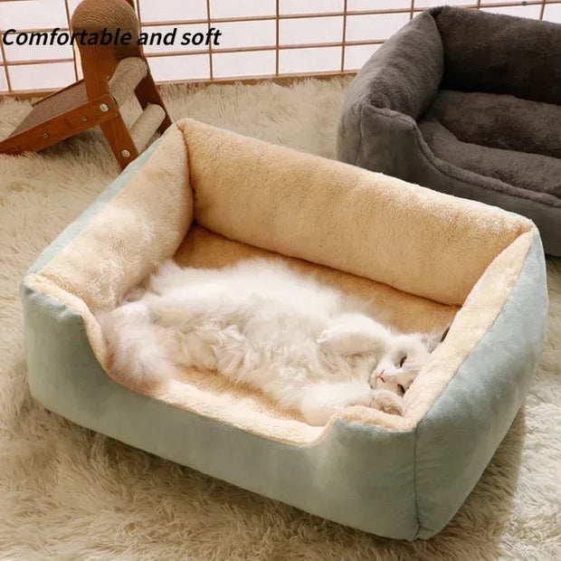 Cat bed lazada clearance