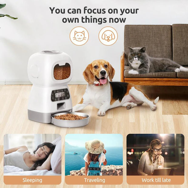 Automatic Pet Feeder Food Dispenser - Kenny Pet