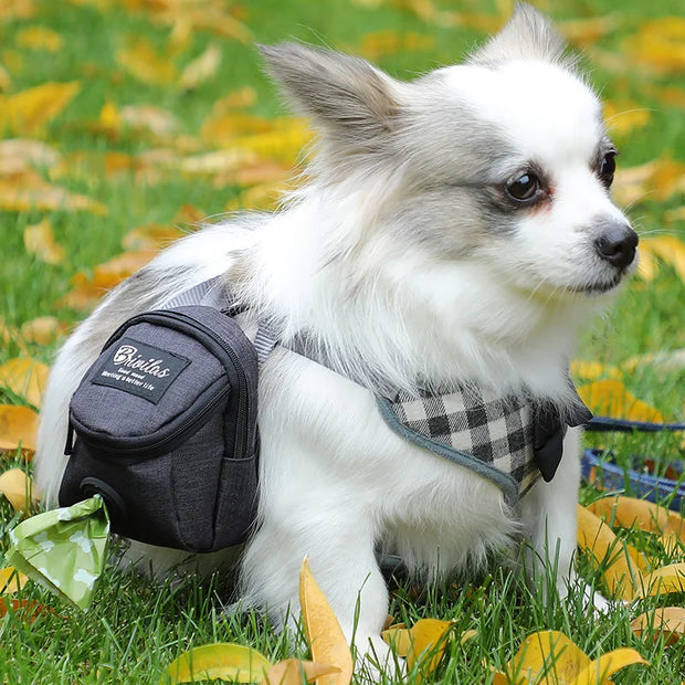 Portable Pet Dog Treat Pouch and Poop Dispenser - Kenny Pet