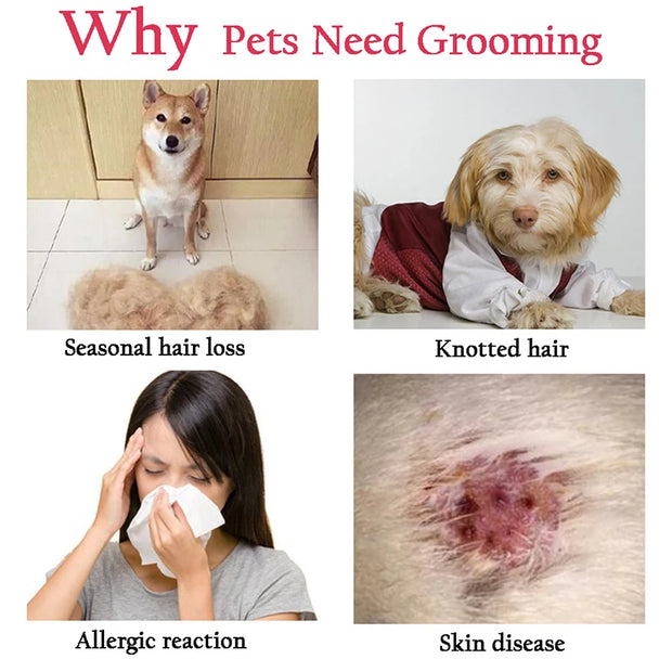 Pet Deshedding Grooming Hair Remover Brush - Kenny Pet