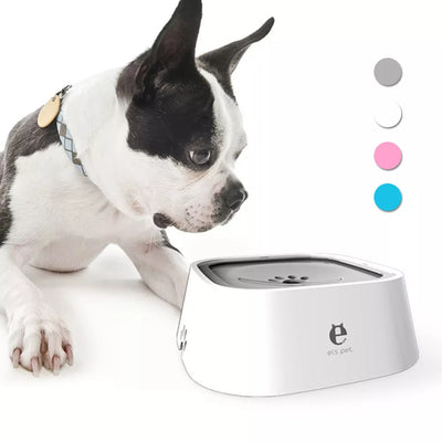Dog Water Dispenser Bowl - Kenny Pet